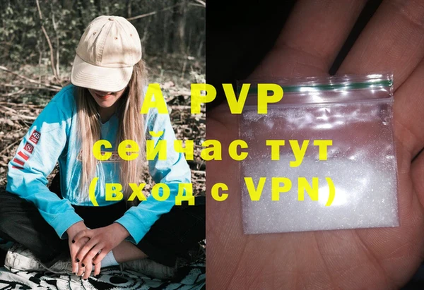 соль ск Новодвинск