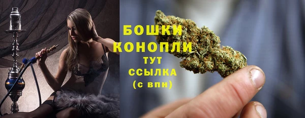 спайс Анива