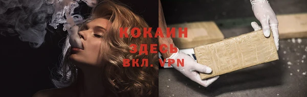 мяу мяу мука Новозыбков