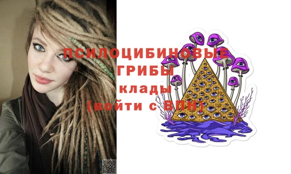 бошки Новокубанск