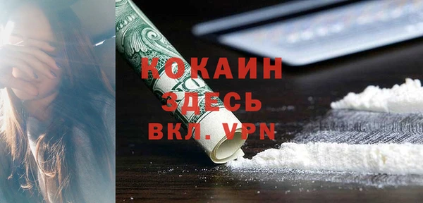 соль ск Новодвинск