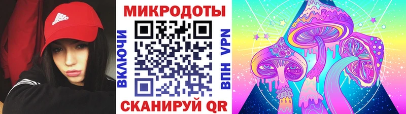Псилоцибиновые грибы Cubensis  Купить  Дорогобуж 